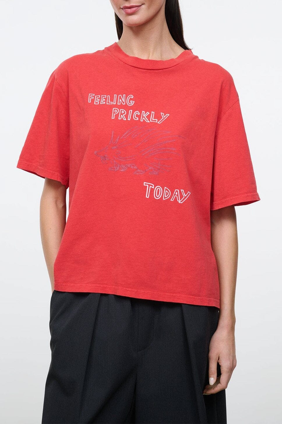 LIAM RELAXED TEE | FEELING PRICKLY